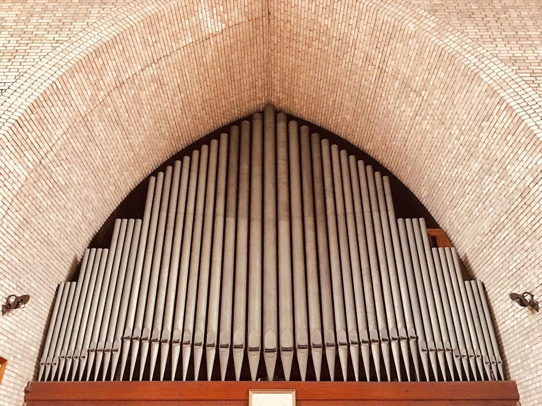 Het Pels-orgel, Sint-Petruskerk, Leiden / © Lillian Lubega
