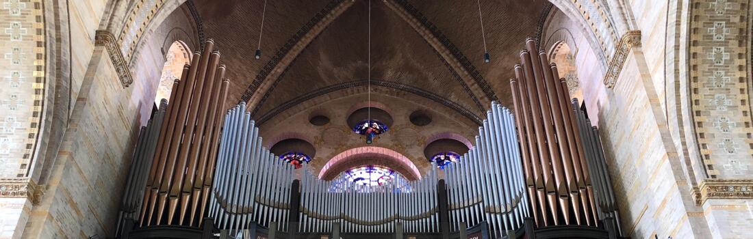 Willibrordus-orgel, St. Bavo Haarlem © Lillian Lubega